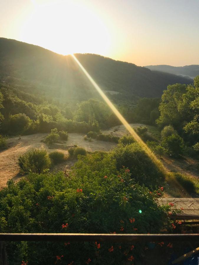 Authentic Tuscan - Entire House - Exclusive Use Villa Sassofortino Esterno foto